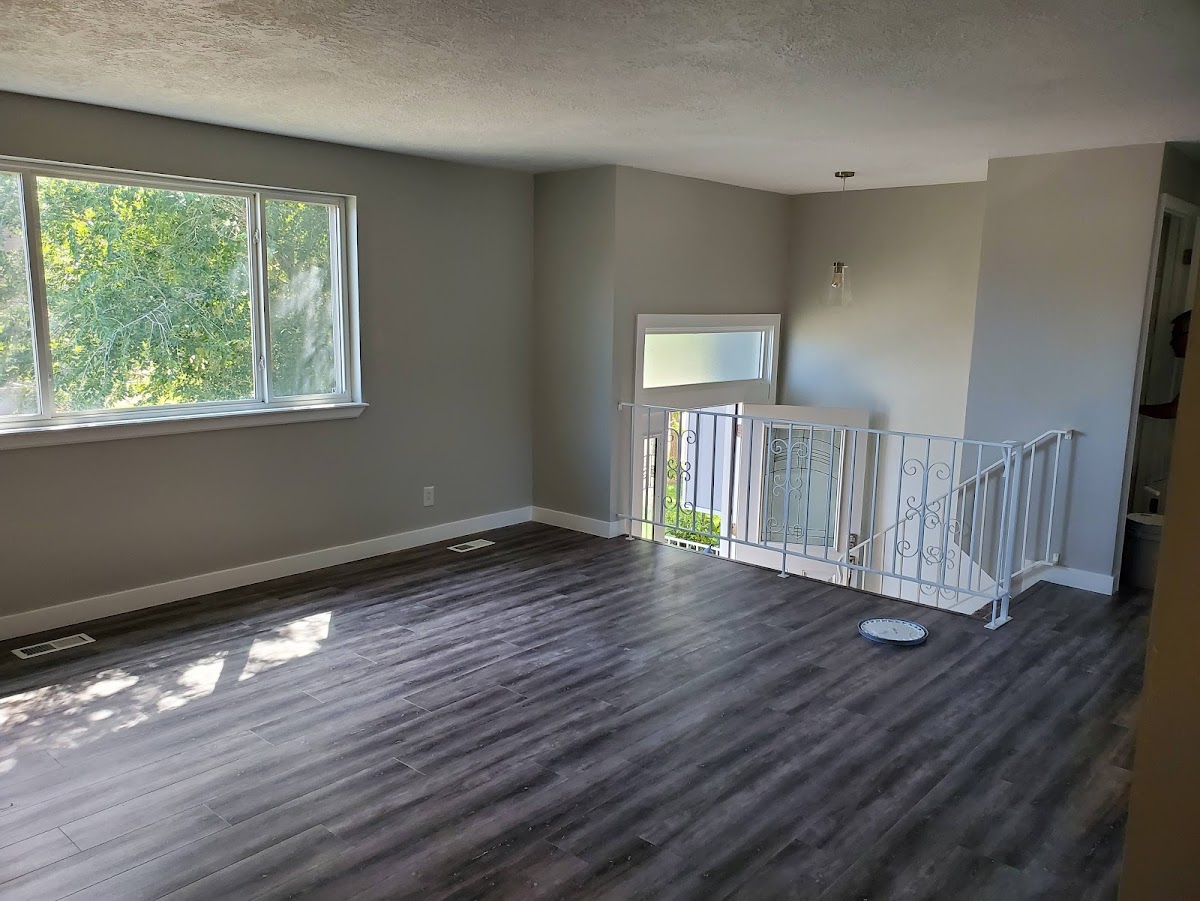 Lumos Painting Company photo