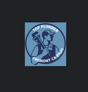 Top Plumber Fremont CA Pros reviews