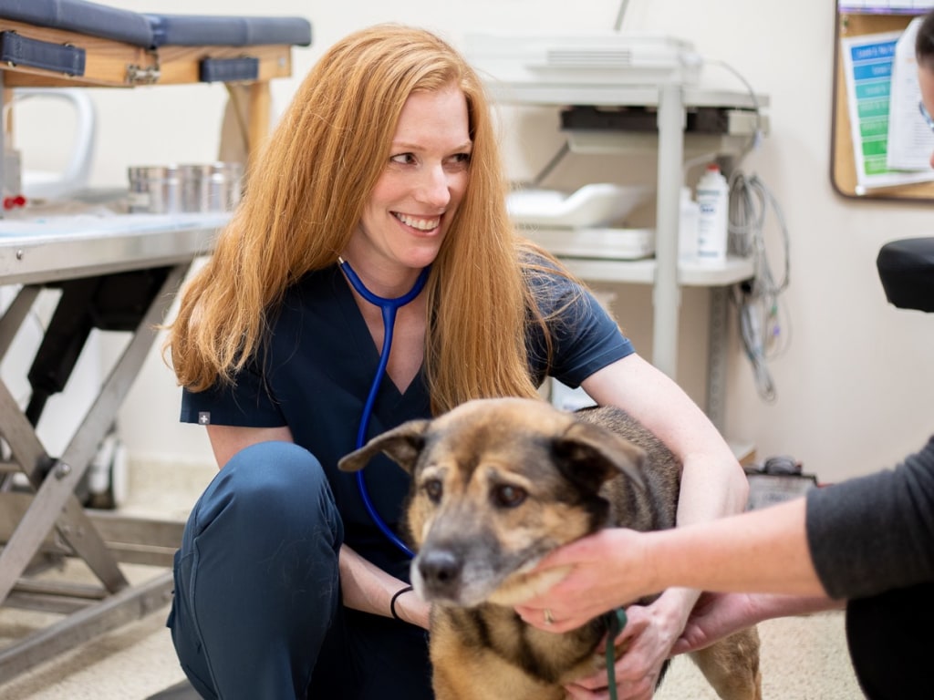 Woodridge Veterinary Clinic reviews