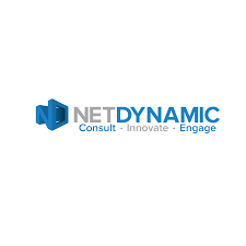 NetDynamic Consulting Inc. reviews