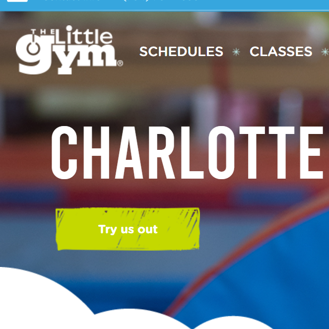 The Little Gym of Charlotte reviews
