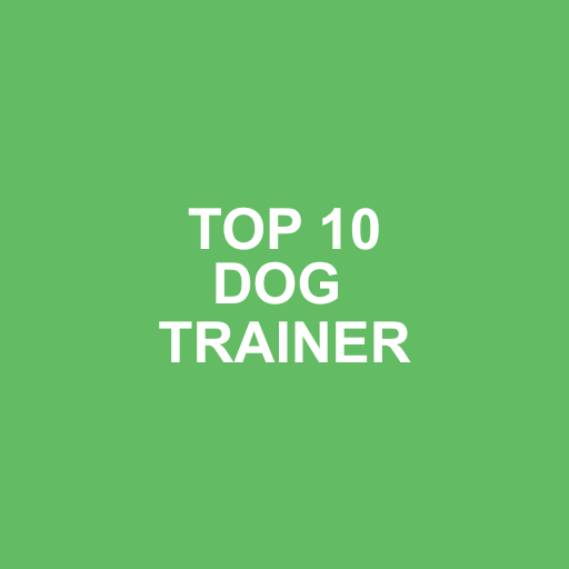 Seattle Canine Club - South Lake Union photo