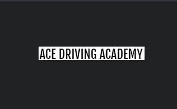 ACE Driving Academy and Court School reviews