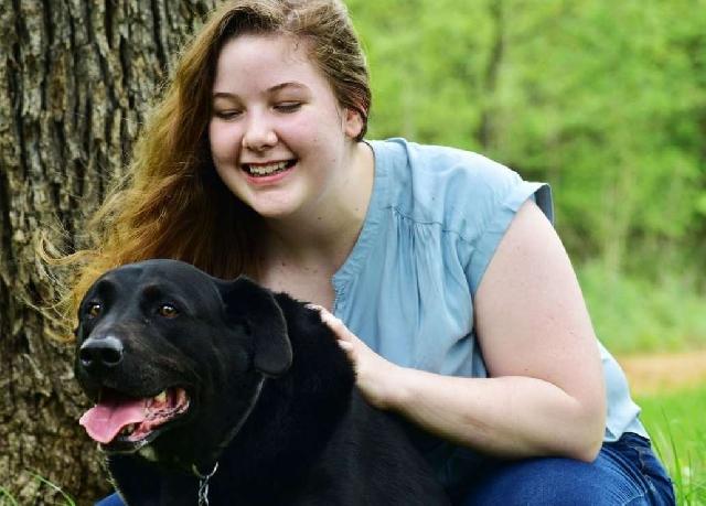 Happy Tails Dog Sitting - Your dogs home away from home reviews