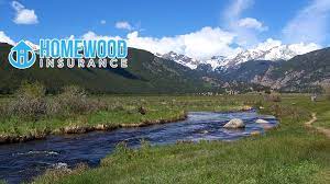 Homewood Insurance Agency reviews