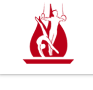 Houston Gymnastics Academy reviews