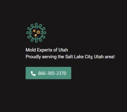Mold Experts of Utah reviews