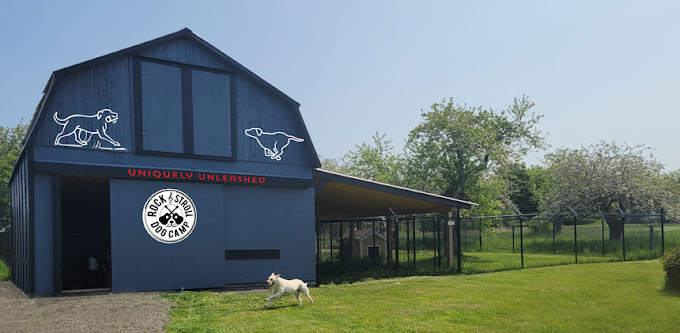 Rock & Stroll Dog Camp photo