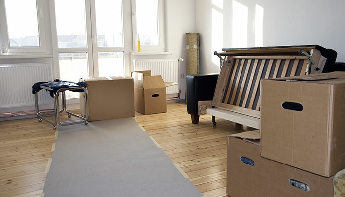 Top Toronto Movers photo