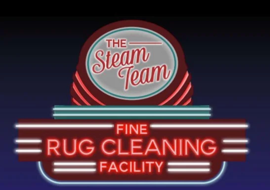 The Steam Team reviews