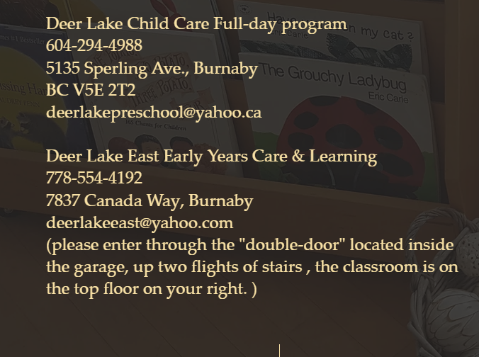 Deer Lake Childcare reviews
