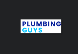 Plumbing Guys reviews