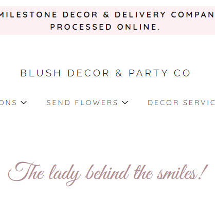Blush Decor-Party Co reviews