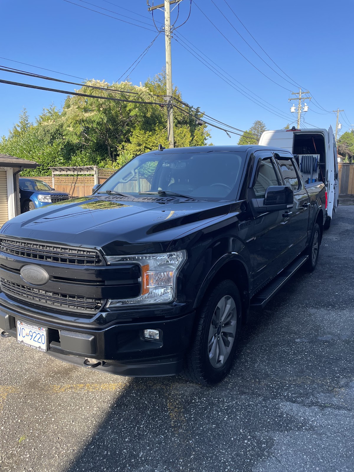 Clean Geek - Carpet & Car Detailing photo