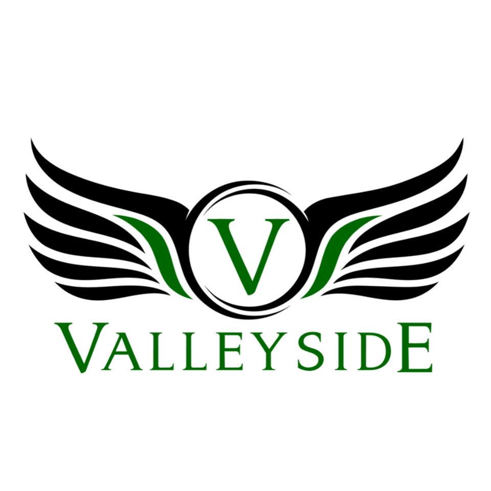 Valleyside Automotive Company reviews