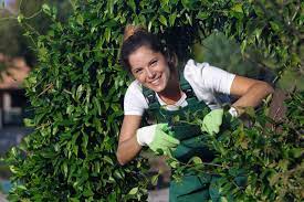 Fort Worth Water Gardens reviews