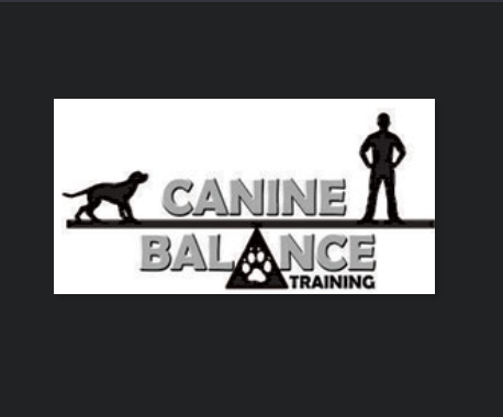 Canine Balance Training reviews