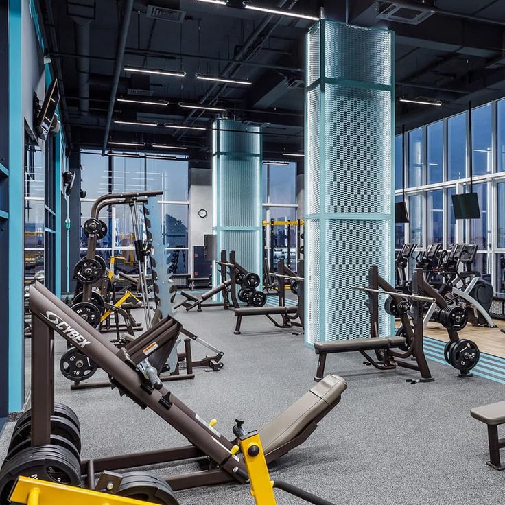 Flex Fitness reviews