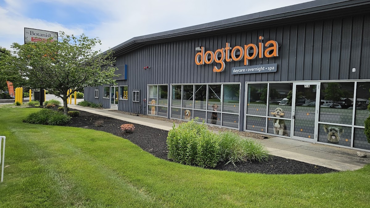 Dogtopia of North Worcester photo