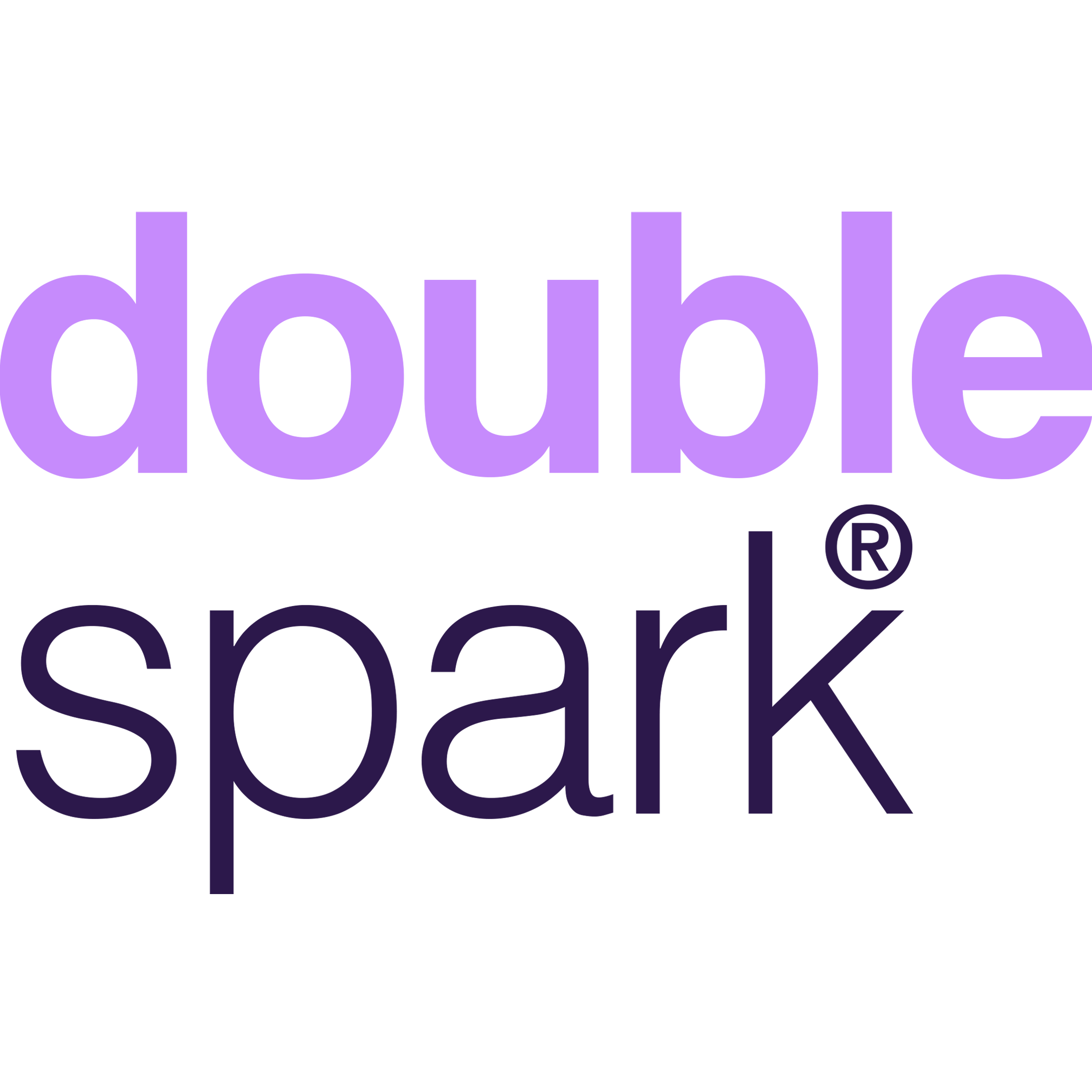 Doublespark Internet Marketing photo