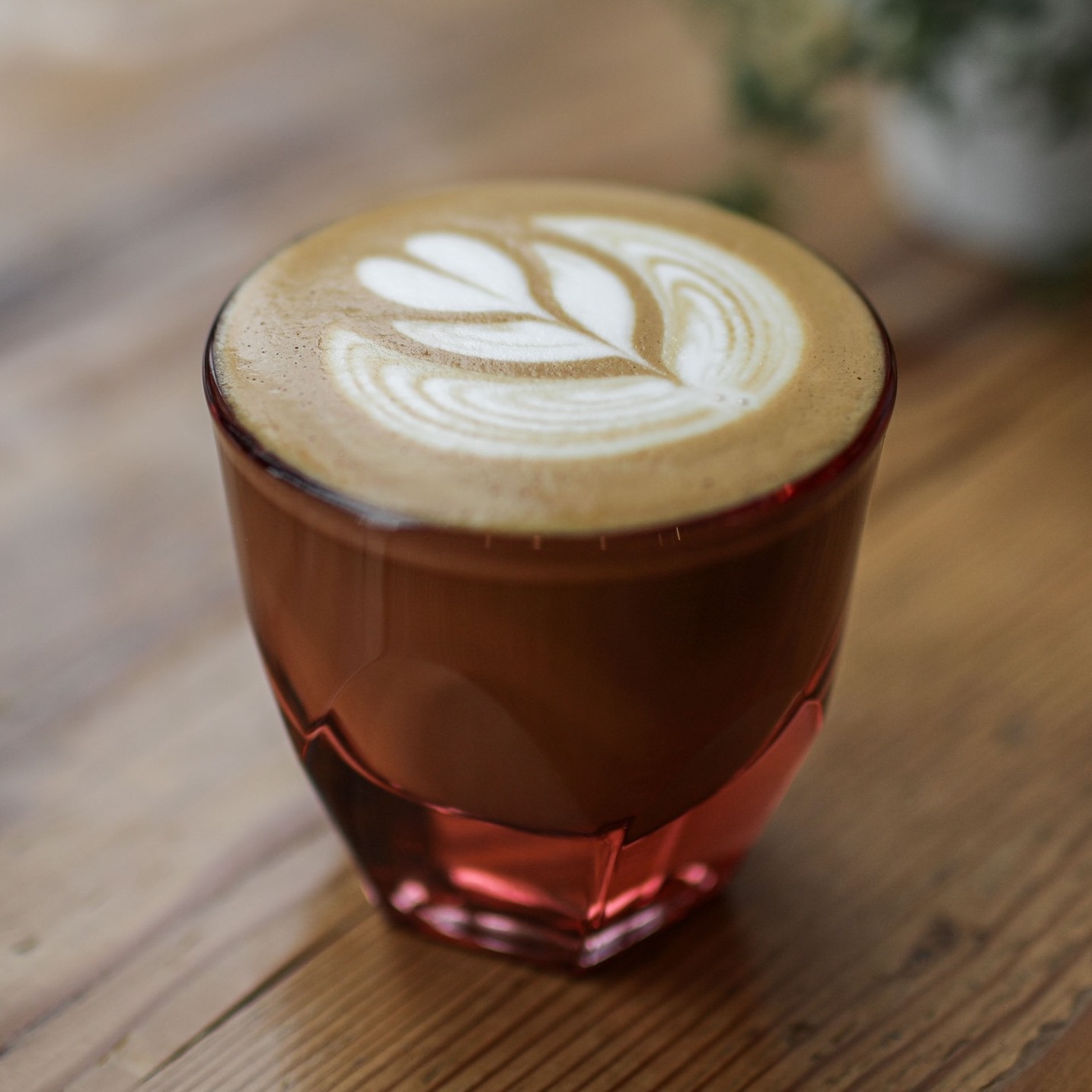 Three Pines Coffee reviews