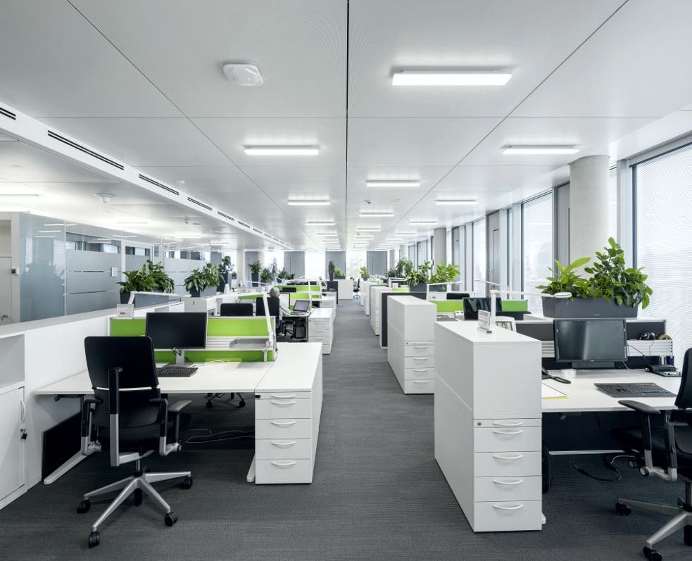 Staydify Growth Systems photo