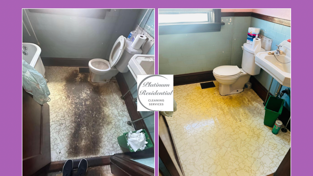 Platinum Residential Cleaning Services Ltd reviews