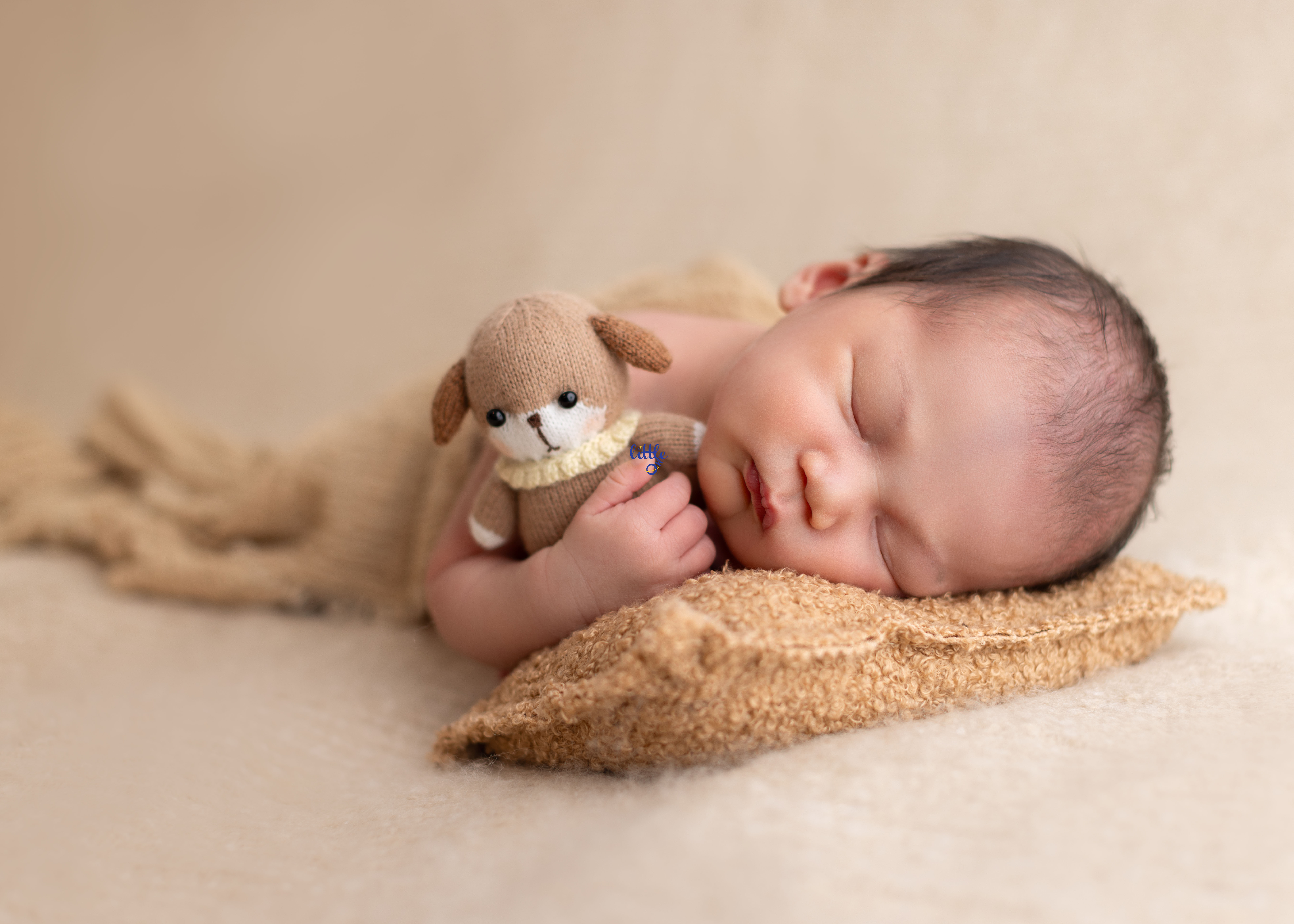 Little One Photography photo