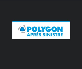 Polygon Après Sinistre reviews