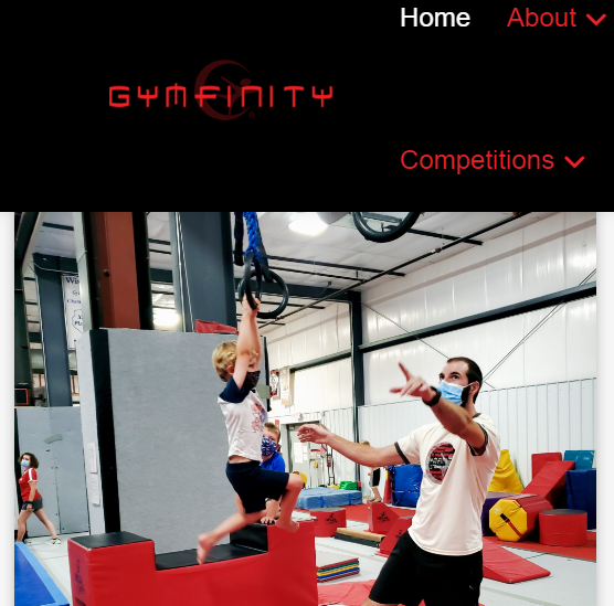 Gymfinity Gymnastics reviews