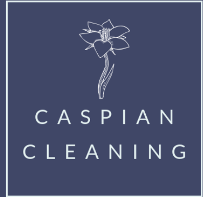 Caspian Cleaning Services Inc. reviews