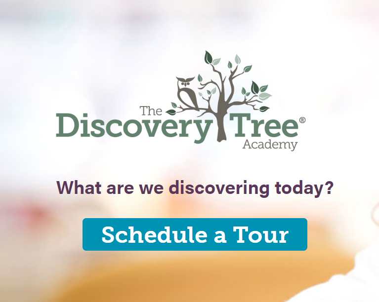 The Discovery Tree Academy at San Pablo reviews