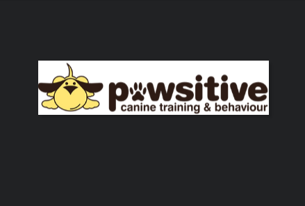 Pawsitive reviews