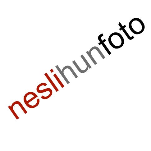 San Diego Product Photographer NesliHunFoto reviews