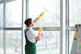 Action Professional Window & Gutter Cleaning Service, Inc. reviews