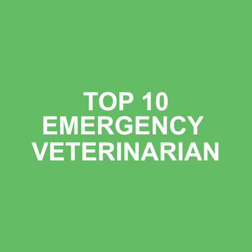 Animal Care Hospital of Livonia photo