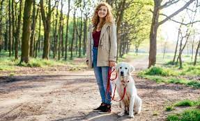 Rub My Belly Dog Care reviews