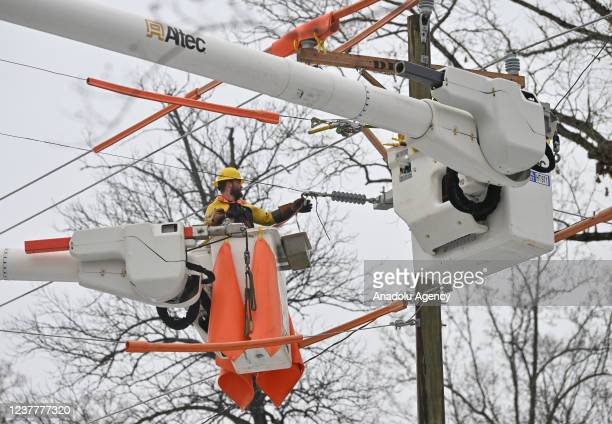 Mr. Electric of Greater Seattle reviews