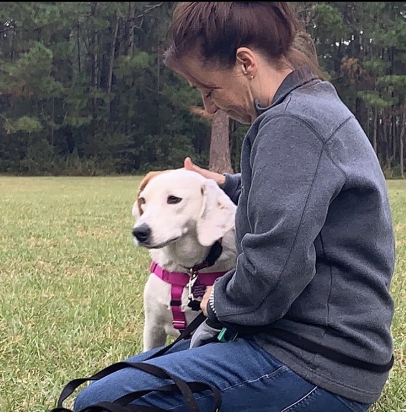 Maggie Marshall Dog Training photo