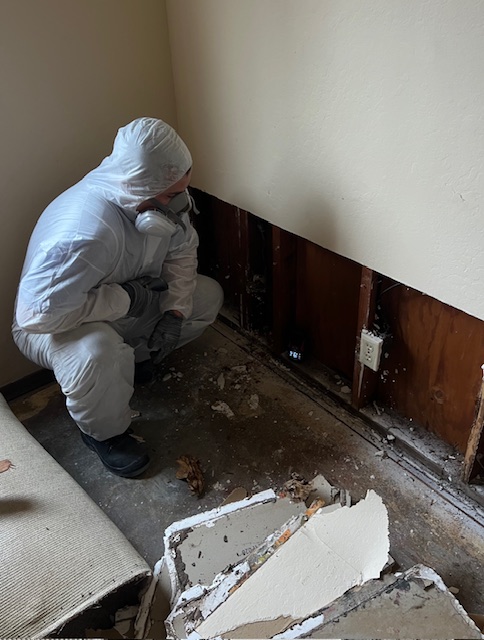 FloodDry Water Damage Restoration photo
