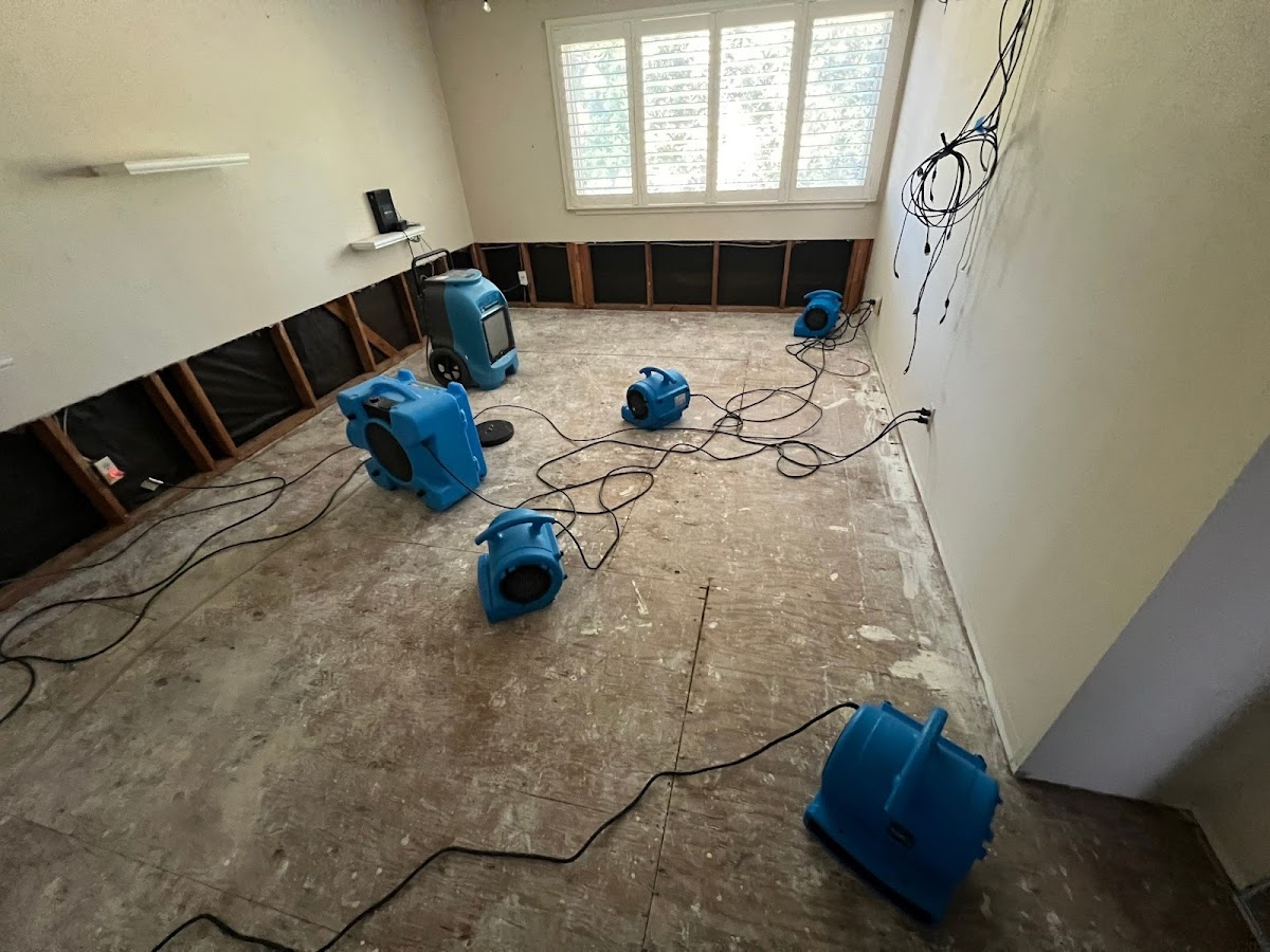 FloodDry Water Damage Restoration photo