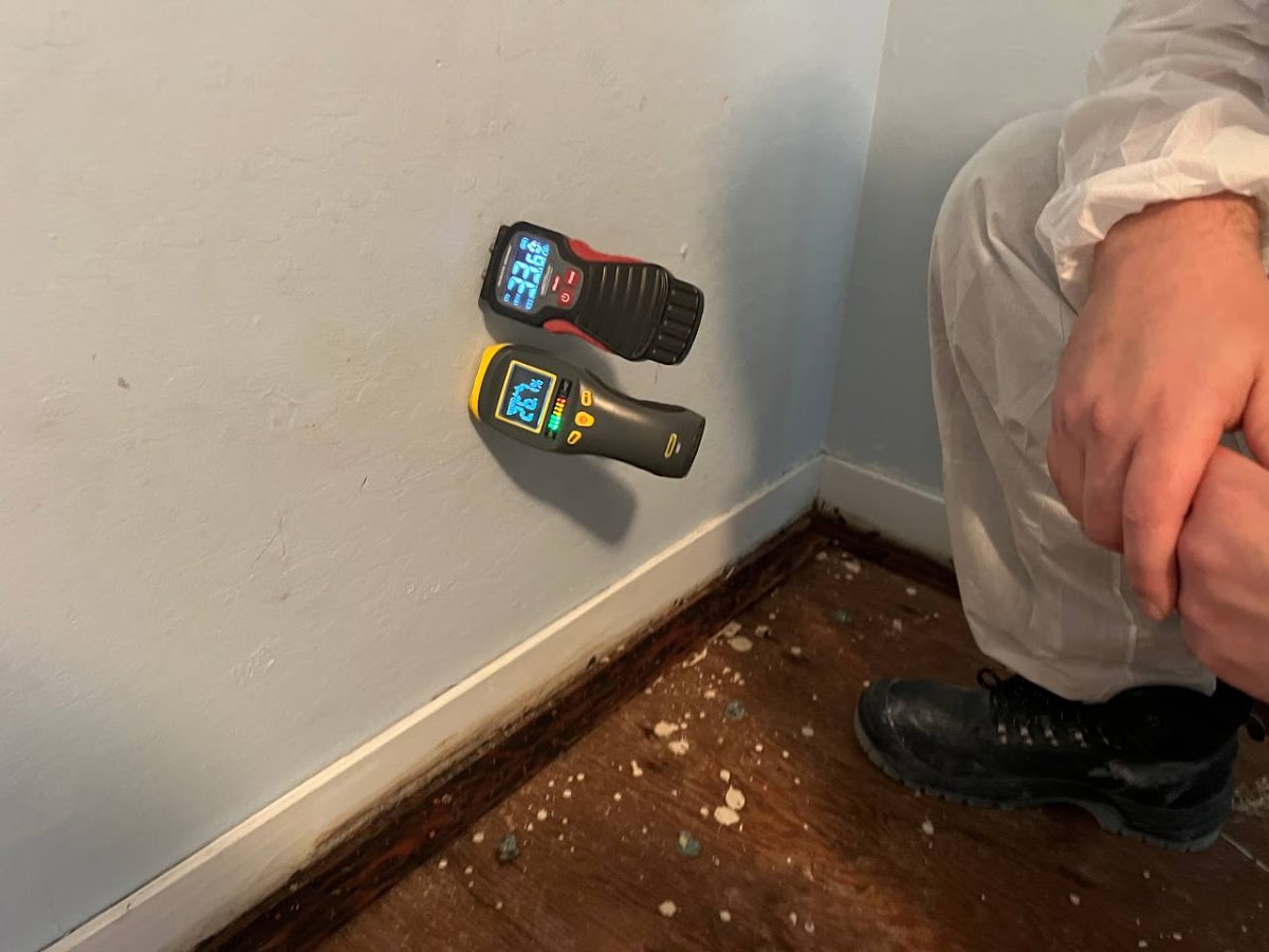 FloodDry Water Damage Restoration photo