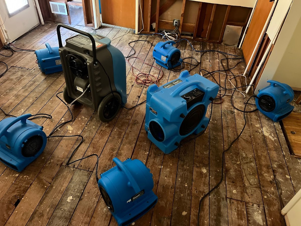 FloodDry Water Damage Restoration photo