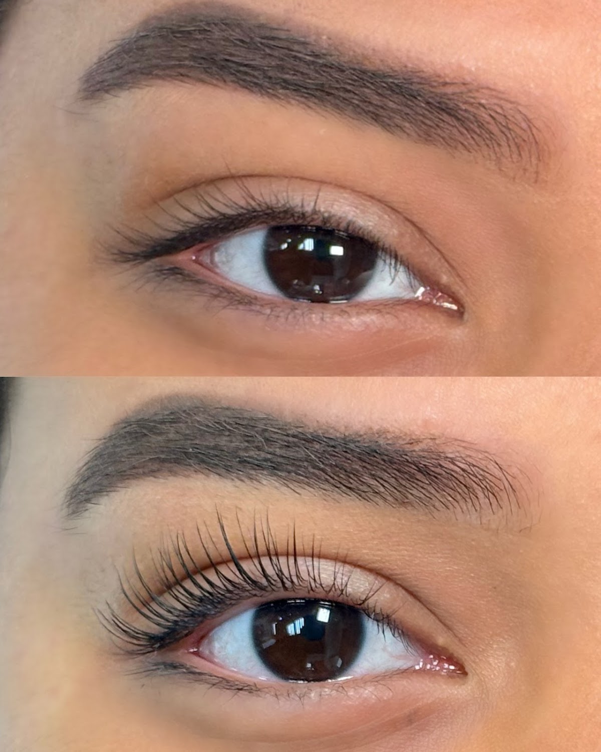 Celestial Beauty reviews