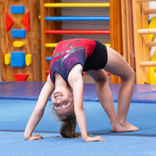 Adagio International Rhythmic Gymnastics Academy of Vancouver reviews