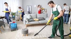 Iron Maid Cleaning Services reviews