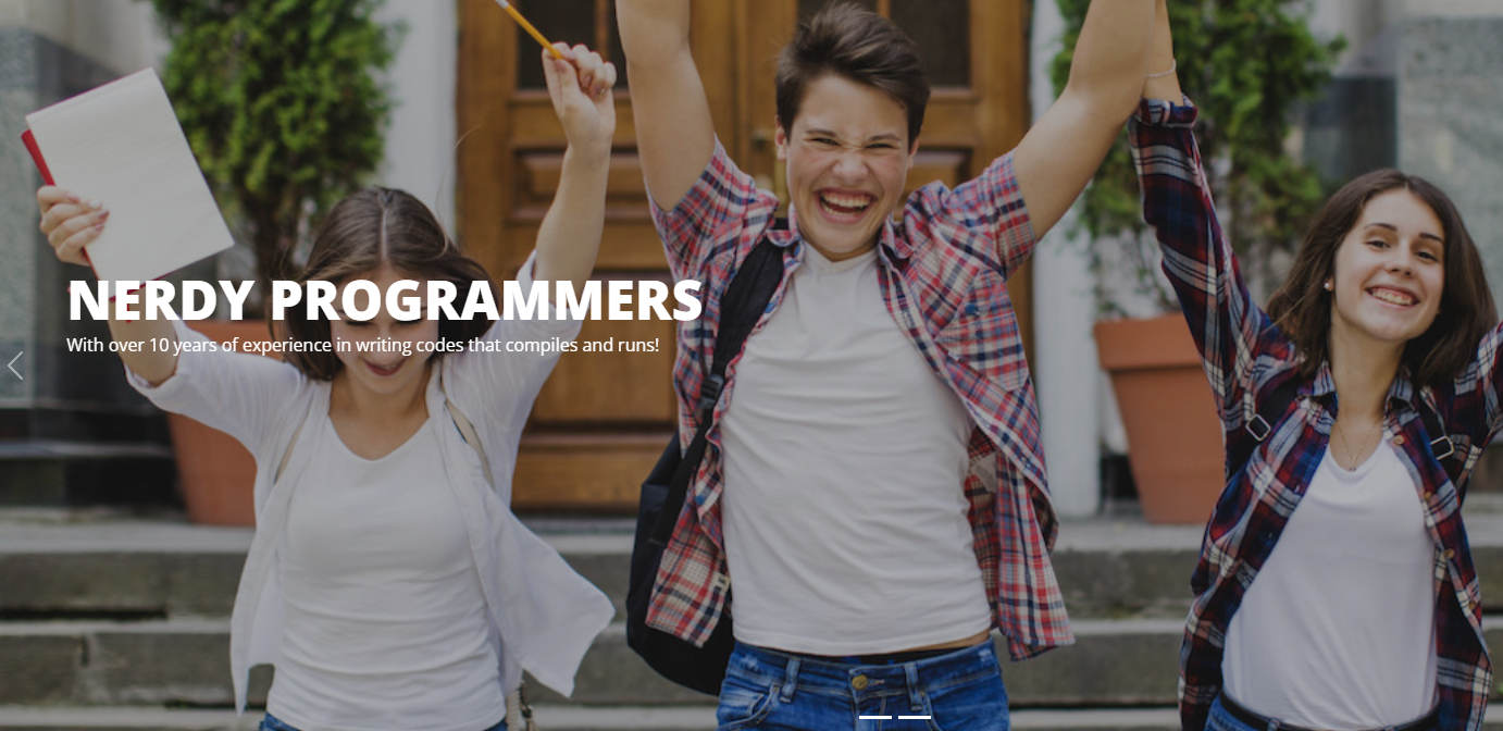 The Programming Assignment Help reviews