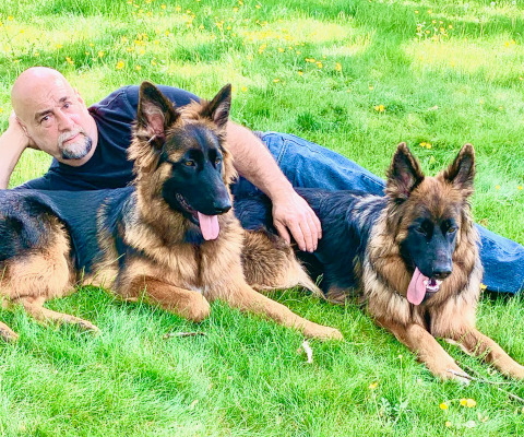 Phil's Dog Training reviews