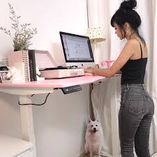 CI Group Orlando reviews