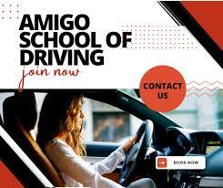 Amigo School of Driving, Inc. reviews
